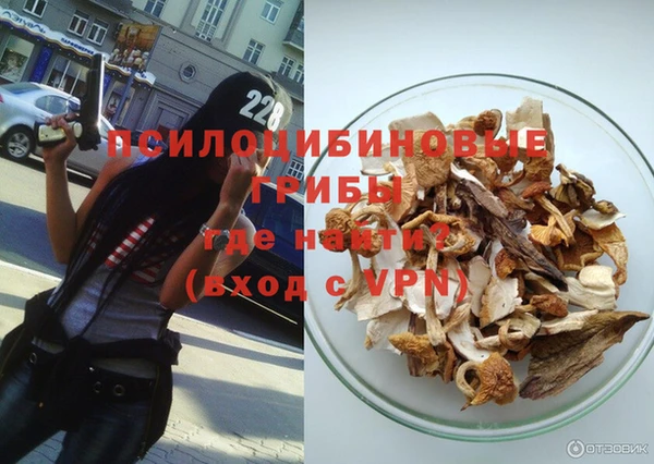 гидра Верхний Тагил