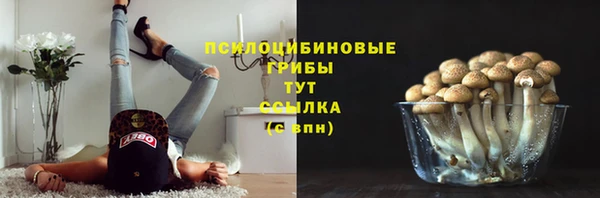 гидра Верхний Тагил