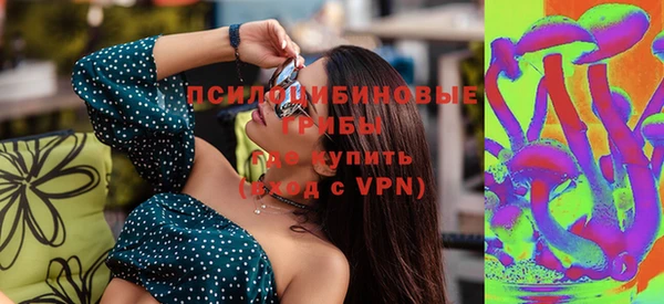 гидра Верхний Тагил