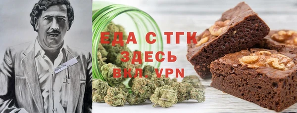 гидра Верхний Тагил