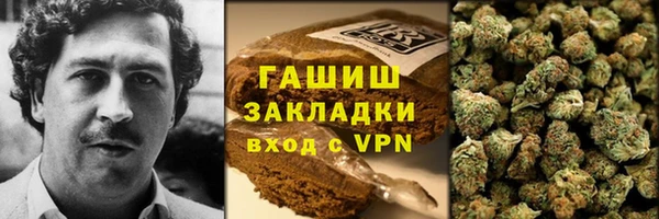 гидра Верхний Тагил