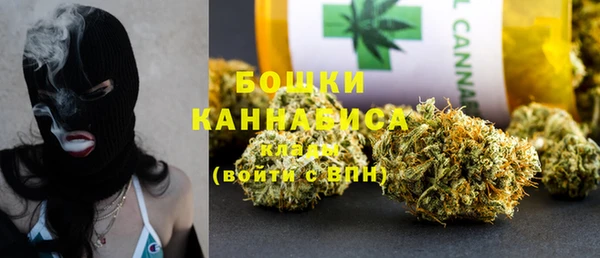 гидра Верхний Тагил