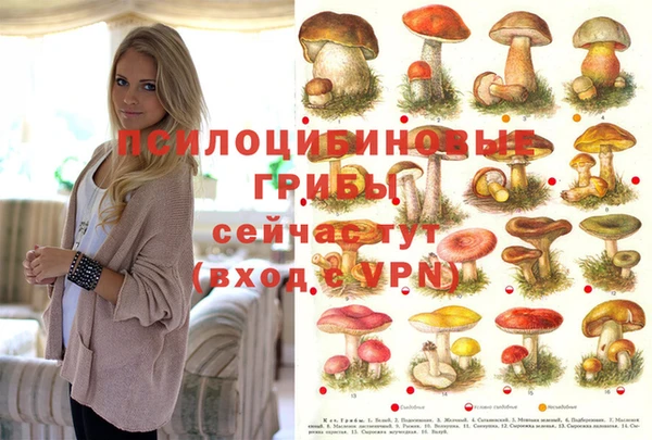 гидра Верхний Тагил