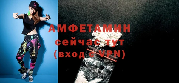гидра Верхний Тагил